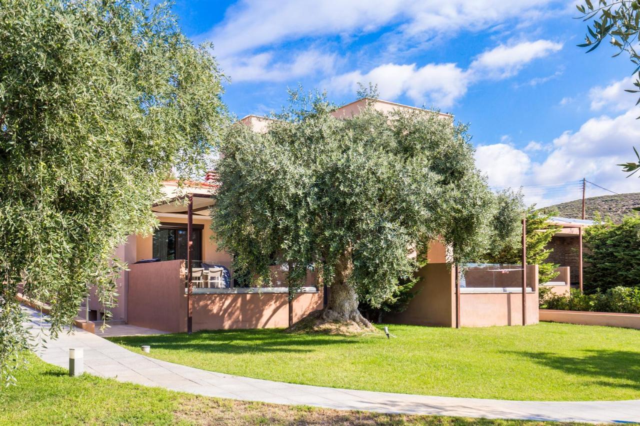 פוטוס Aventura Village מראה חיצוני תמונה